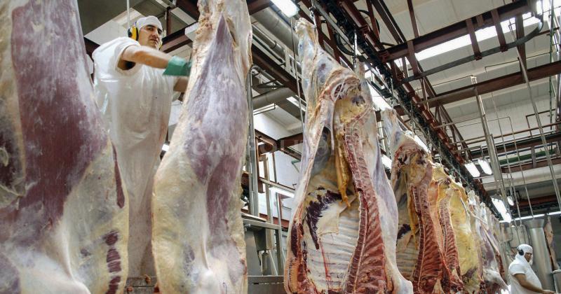 Cayeron un 6 -en-porciento- las exportaciones de carne vacuna 