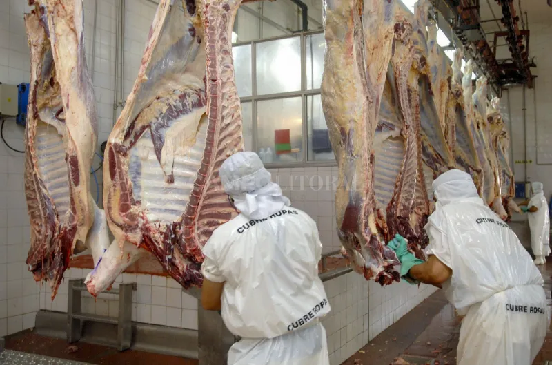 Argentine Beef Exports and Market Trends in October 2023