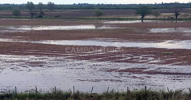 Lote con rastrojo de trigo encharcado por excesos hídricos en el centro oeste del departamento San MartínLote con rastrojo de trigo encharcado por excesos hídricos en el centro oeste del departamento San Martín