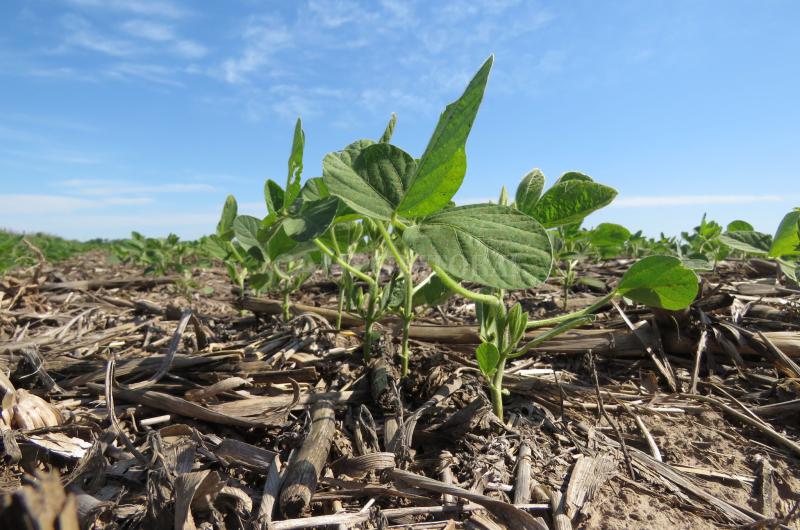 iquestCuaacutento aportaraacute el agro en 2024