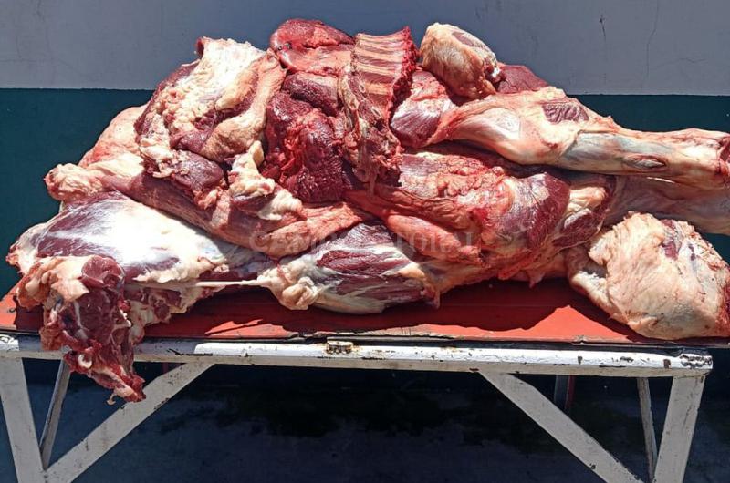 Cuatreros sin descanso en el norte- siguen incautando carne robada con destino comercial