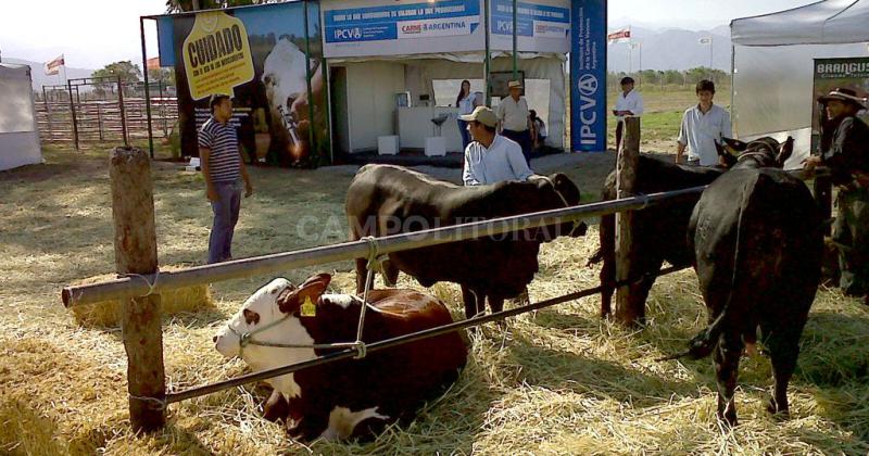Todo mal con el IPCVA- ocho rurales santafesinas piden eliminar la obligatoriedad del aporte que realizan los ganaderos