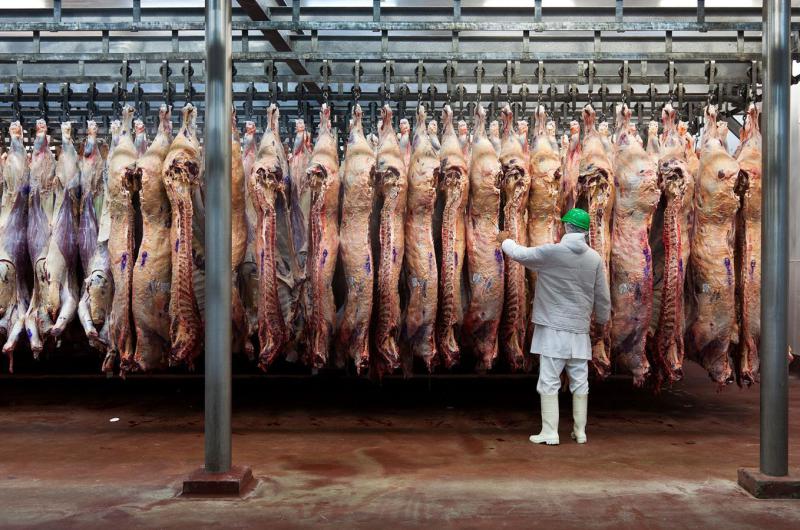 Aumentaron las exportaciones de carne pero cayeron los ingresos