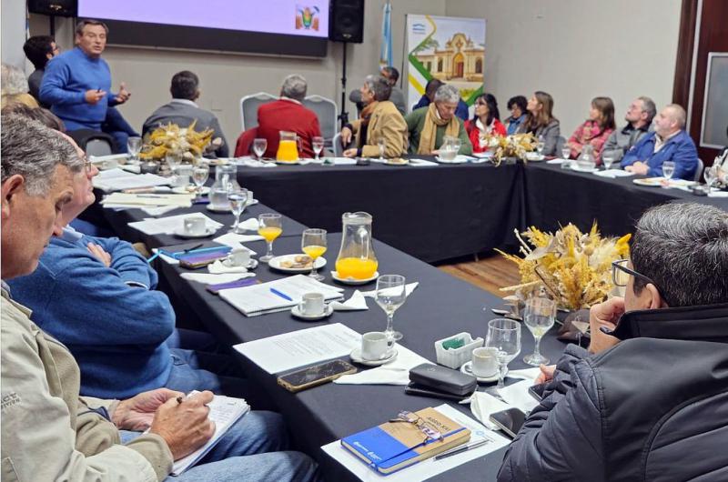 Chicharrita- buenas praacutecticas y flexibilizacioacuten de normativas las conclusiones del foro Salvemos al Maiacutez en Tucumaacuten