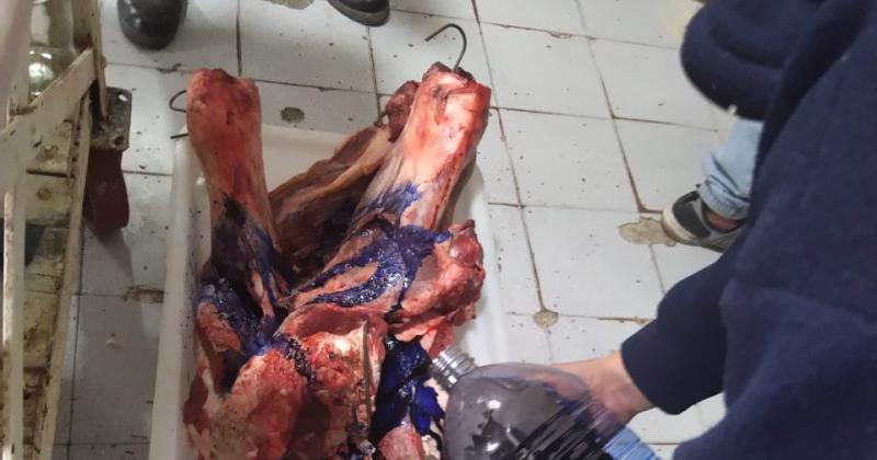 Operativo conjunto de Los Pumas y ASSAL- 300 kilos de carne decomisados en carniceriacuteas del oeste santafesino