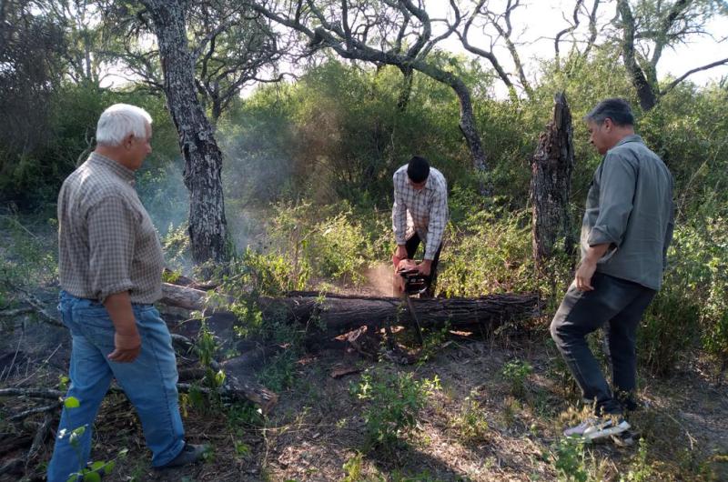 Trabajos de raleo con fondos de la ley de bosques