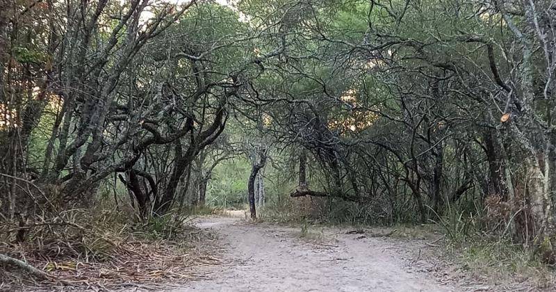 Inscribir el campo como reserva natural una forma de potenciar la empresa agropecuaria