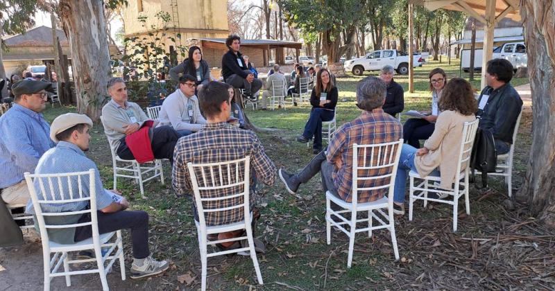 Cordero pesado una oportunidad para agrandar el negocio ganadero en la Regioacuten Centro