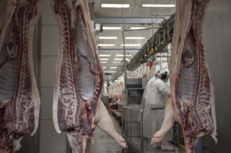 Advierten un encarecimiento del cerdo al puacuteblico que perjudica a los productores