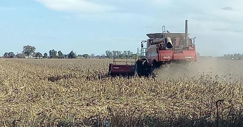 Las labores agriacutecolas bajaron un cambio en el centro norte provincial