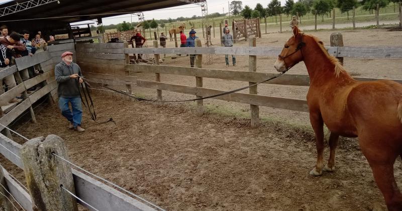 Exitoso comienzo del curso de correccioacuten de vicios en caballos y prevencioacuten de accidentes