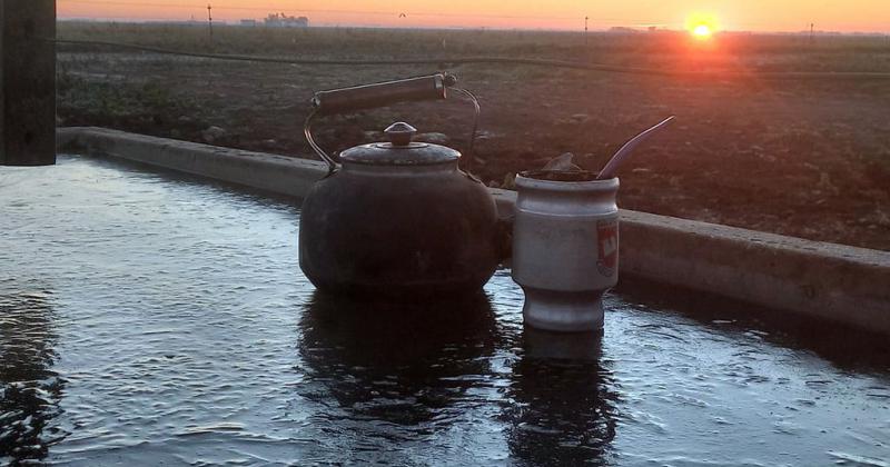 Ola polar en el campo argentino- imaacutegenes impactantes de un invierno extremo