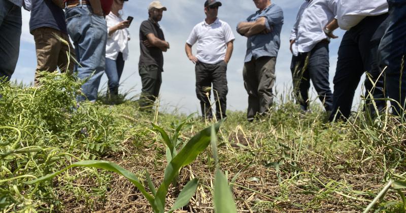 Manual de praacutecticas para la agricultura regenerativa