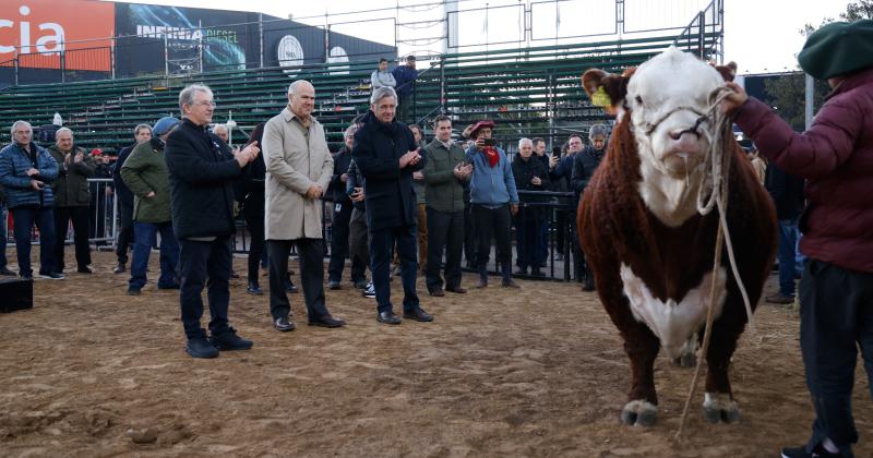 Miacutestico el primer toro de Palermo 