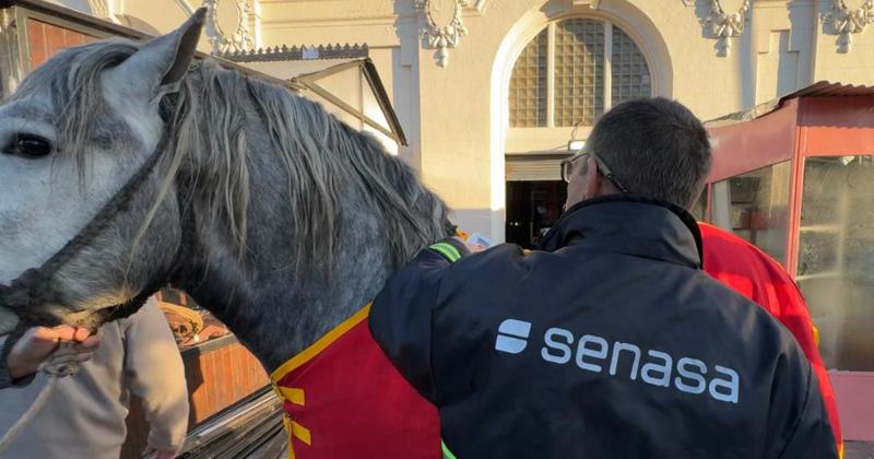 iquestCoacutemo se controla la sanidad de los animales en la Expo