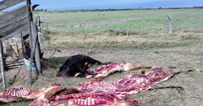 Decepcionados por el faltazo de la provincia la Rural de Rafaela suspendioacute una reunioacuten por inseguridad