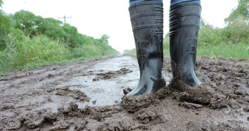 Carsfe cruzoacute fuerte la intencioacuten de cargarle a los productores las reparaciones viales