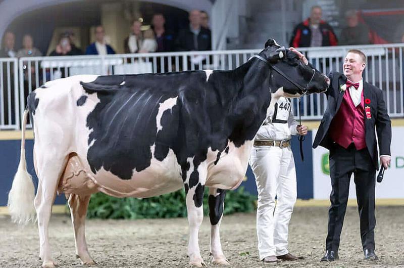 La Fiesta Nacional del Holando y la World Dairy Expo hermanadas por un mismo jurado