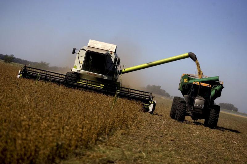 Coacutemo afectaron las retenciones a la produccioacuten de soja y por queacute el mejor negocio para el gobierno seriacutea bajar ya el impuesto