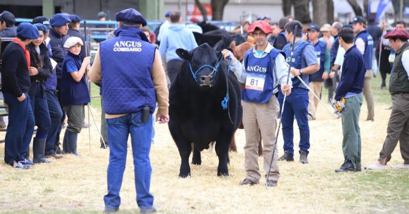 Llega la Semana Angus