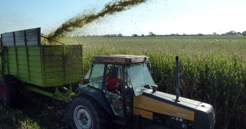  Ensiladores santafesinos anticipan un cuello de botella en enero