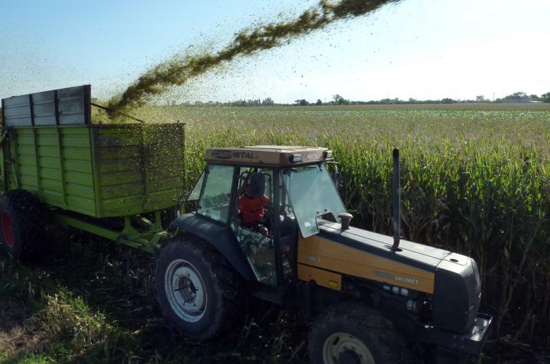  Ensiladores santafesinos anticipan un cuello de botella en enero