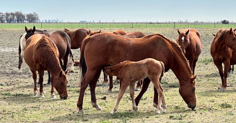 Diacutea de campo en Los Retontildeos 