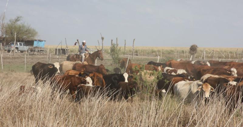 La Sociedad Rural de Reconquista renueva su reclamo por los Bajos Submeridionales 