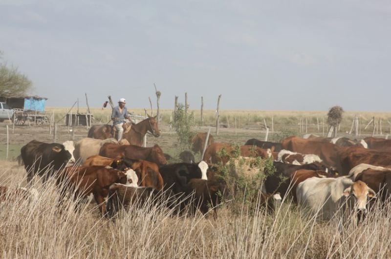 La Sociedad Rural de Reconquista renueva su reclamo por los Bajos Submeridionales 