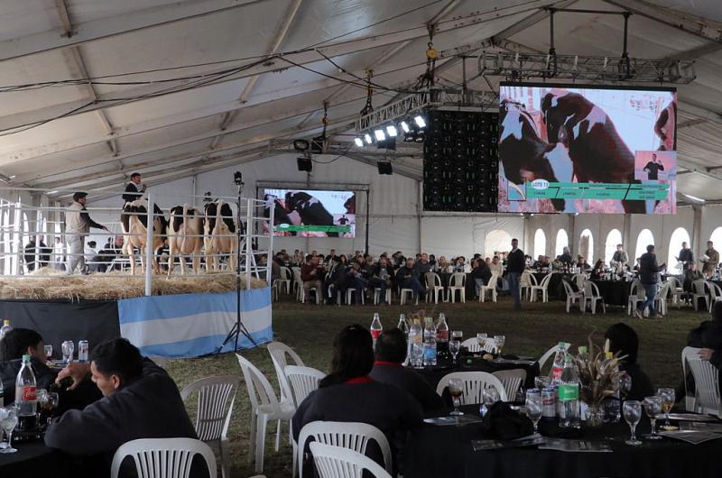 Con geneacutetica de elite Grupo Chiavassa celebroacute un siglo de vida