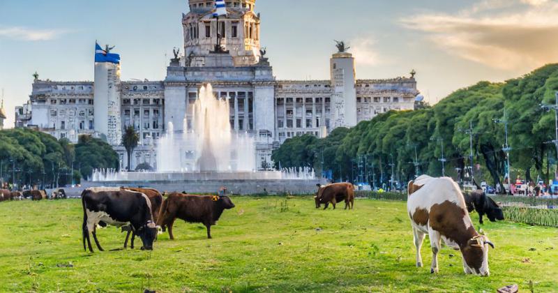 Los proyectos clave para el sector agropecuario que se debatiraacuten en el Congreso