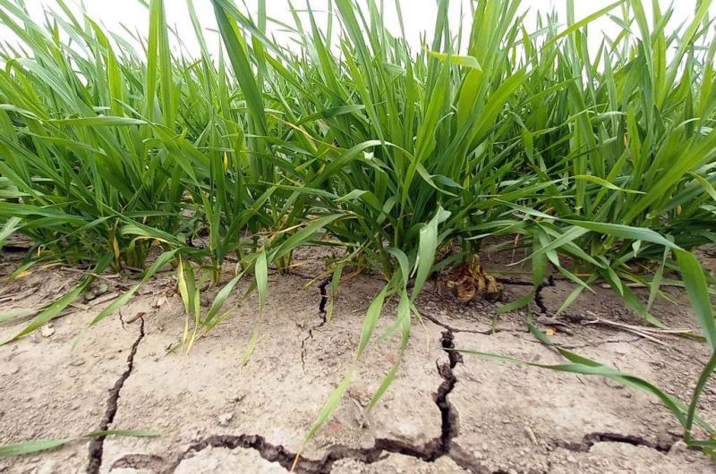 Falloacute Santa Rosa y en Santa Fe retrocedieron las reservas hiacutedricas