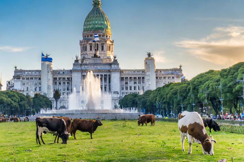 Los proyectos clave para el sector agropecuario que se debatiraacuten en el Congreso