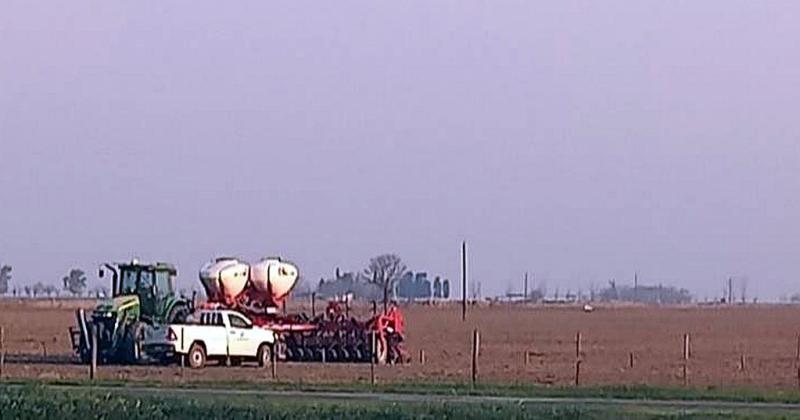 Sequiacutea mata chicharrita- la falta de humedad se impone y retrocede 20-en-porciento- la intencioacuten de siembra de maiacutez de primera en el centro norte santafesino