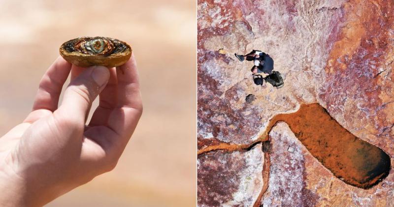 Entre los casos de éxito se encuentran Puna Bio que desarrolló un bioinoculante extremófilo que mejora los rendimientos agrícolas en suelos degradados