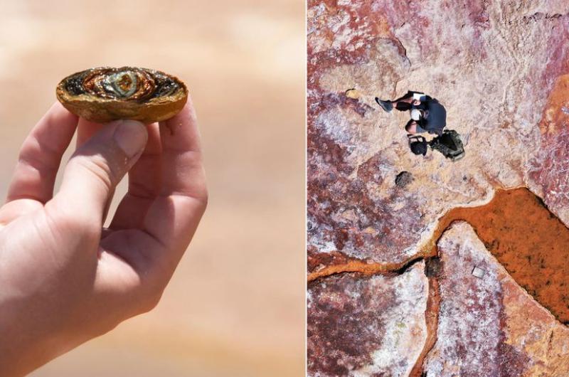 Entre los casos de éxito se encuentran Puna Bio que desarrolló un bioinoculante extremófilo que mejora los rendimientos agrícolas en suelos degradados