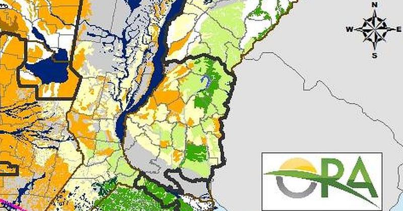 Sigue retrocediendo la humedad en los trigos santafesinos y muchos ya estaacuten en sequiacutea