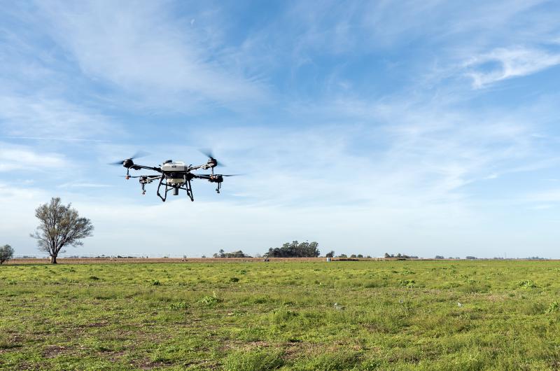 Drones agriacutecolas- auacuten falta regulacioacuten clave 