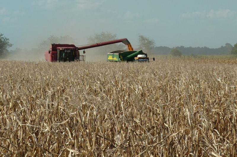 Se lanza la campantildea gruesa con un ineacutedito Outlook del Mercosur