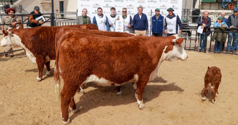 Antes de la llegada del presidente estos fueron los grandes ganadores en el Centenario Hereford