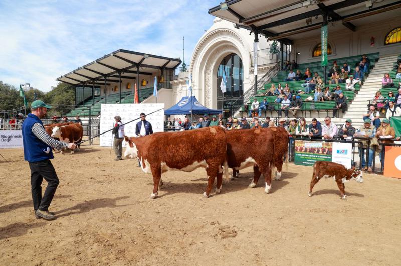 Antes de la llegada del presidente estos fueron los grandes ganadores en el Centenario Hereford