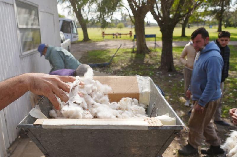 El desmotado en casa es posible