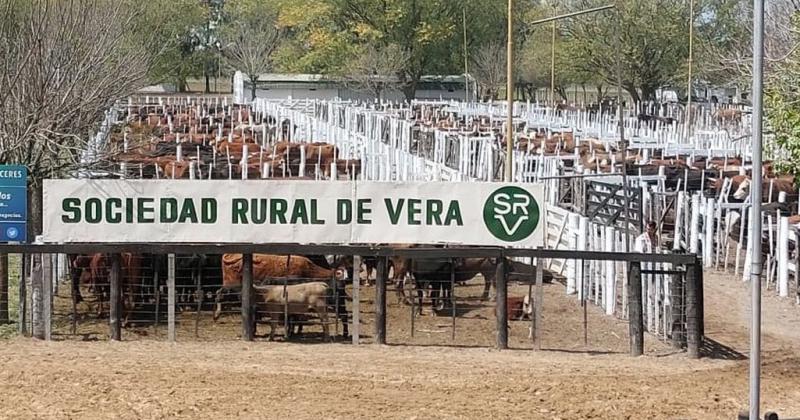 La gente estaacute disparando se da cuenta que al errar las lluvias hay que aliviar a la vaca