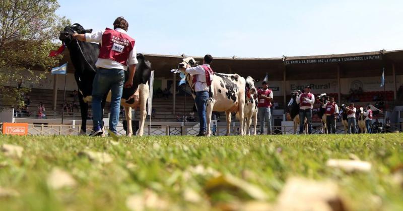 Una renovada Expo Rural de Rafaela brilloacute en su edicioacuten 117deg