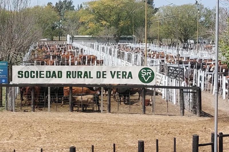 La gente estaacute disparando se da cuenta que al errar las lluvias hay que aliviar a la vaca