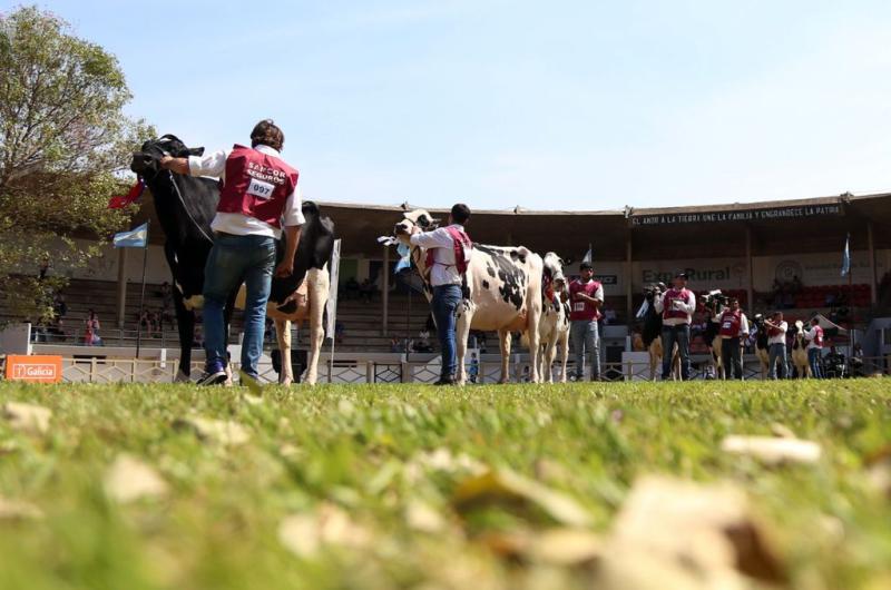 Una renovada Expo Rural de Rafaela brilloacute en su edicioacuten 117deg