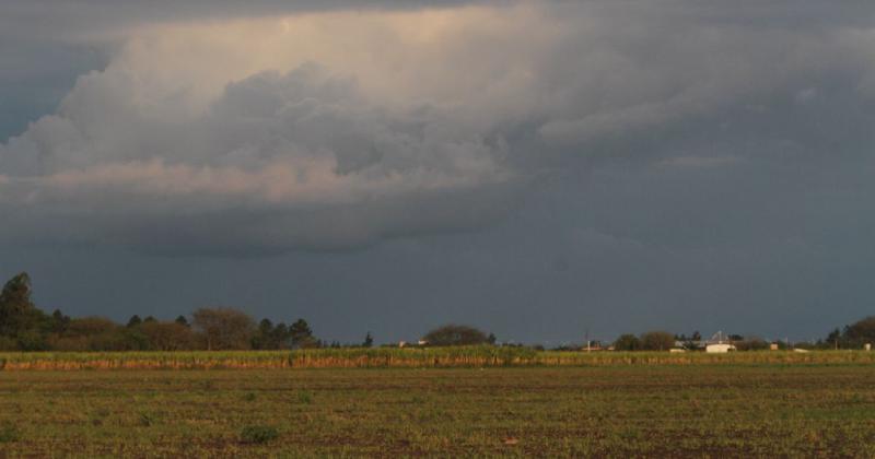 La agricultura argentina estaacute ante un gran desafiacuteo que es adaptarse a un reacutegimen de lluvias cada vez maacutes impredecible