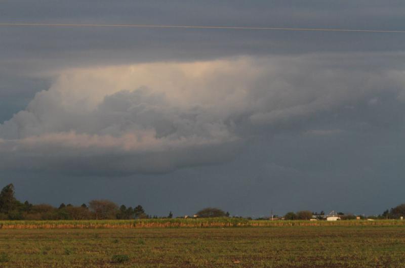 La agricultura argentina estaacute ante un gran desafiacuteo que es adaptarse a un reacutegimen de lluvias cada vez maacutes impredecible