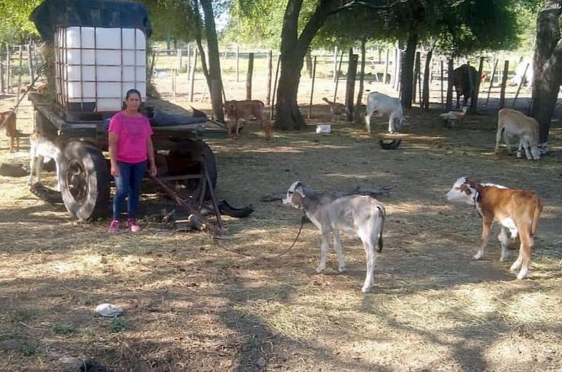 Primer Foro Internacional Geacutenero y ruralidad