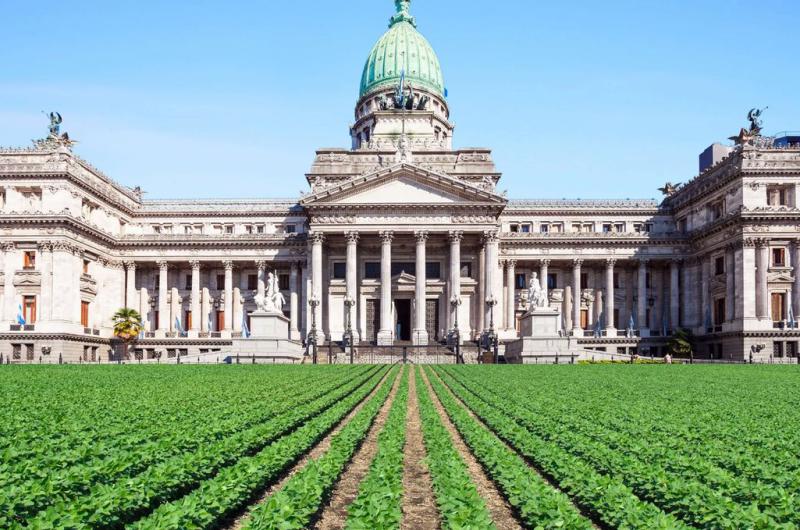 El frente legislativo del agro viaja a Brasil en busca del know how que impulse al sector desde el Congreso